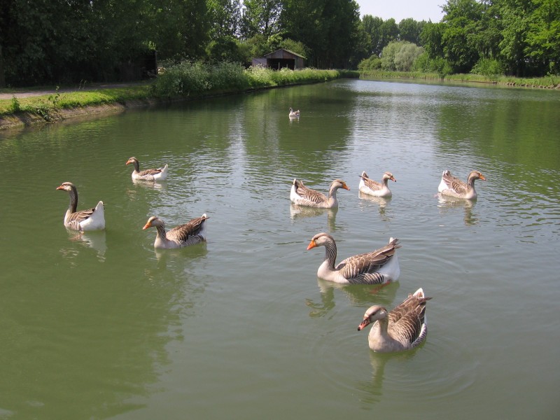 Copie de IMG_0304.jpg